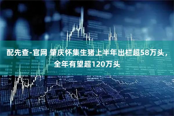 配先查-官网 肇庆怀集生猪上半年出栏超58万头，全年有望超120万头
